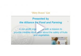 Web seminar on public health impact of “Dirty Dozen” list available