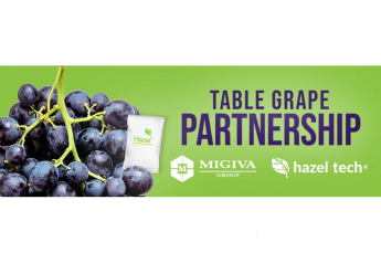 Migiva Group partners with Hazel Tech