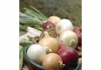 South Texas Onion Committee estimates, promotes crop