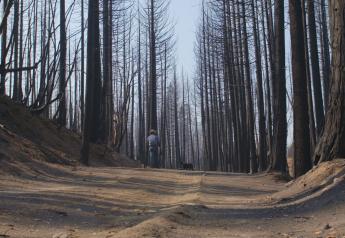 California Cattle Council Launches Wildfire Resiliency Effort