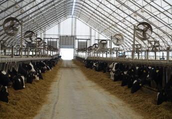Feeding Consistency Essential to Production, Cow Health