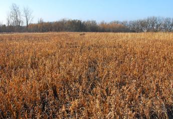 Major CRP Changes Could be Coming in the Farm Bill