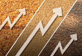 Grain Prices ‘Well-Supported’ for Next Three Years, says RaboResearch Economist