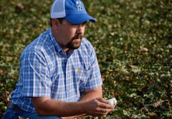 Cotton Prices Climb As Hopes Dry Up for a Bountiful Crop in West Texas