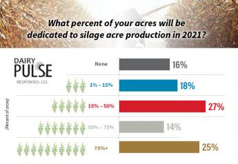 Dairy Pulse: Farmers Share Their Silage Acre Predictions