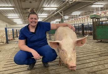 Research Aims to Weed Out Gilts Who May Have Low Reproductive Success