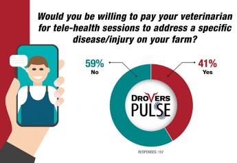 Would You Try Tele-health Appointments with Your Vet? 