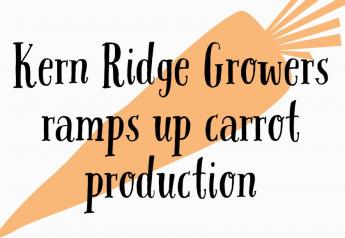 Kern Ridge Growers ramps up carrot production