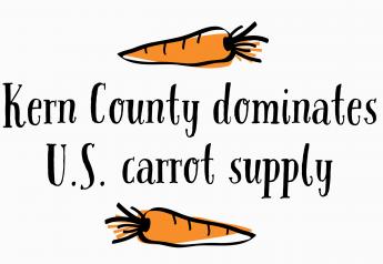 Kern County dominates U.S. carrot supply