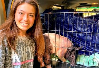 Teenager Overcomes a Year of Loss with Faith, Family and Pigs