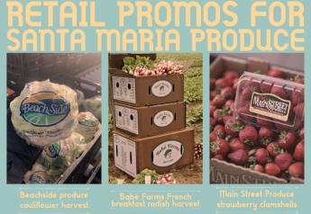 Retail promotions spur Santa Maria produce
