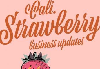 California strawberry business updates