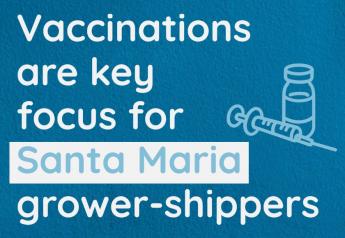 Vaccinations are key focus for Santa Maria grower-shippers