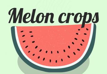 Cold, wet in part of U.S. but still marketable melon volumes