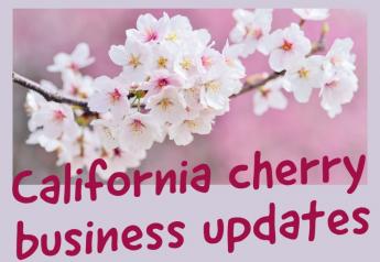 California cherry business updates