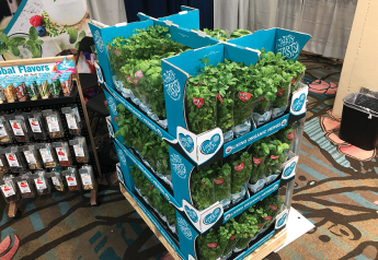 Shenandoah Growers launches retail-ready shippers