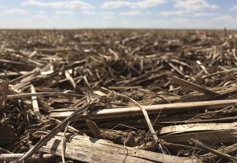  ‘Additionality’ Issue keeps some Farmers out of Carbon Markets