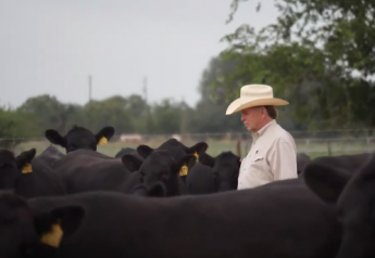 Angus VNR: Quality is Foremost for Texas Bull Supplier