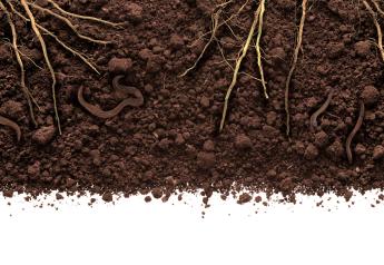 Truterra Adds Agronomic Network to Spur Interest and Adoption of Soil Health Practices