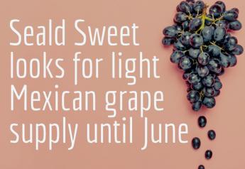 Seald Sweet looks for light Mexican grape supply until June