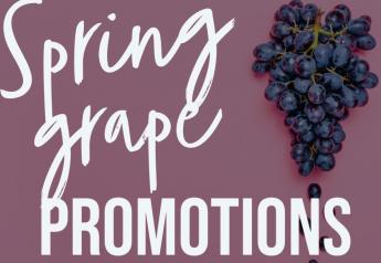 Spring grape promotion plans hinge on timing