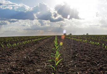 New Corn Herbicide Approved for Use in 2023