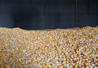 Corn Set for Biggest Monthly Gain in More than Two Years