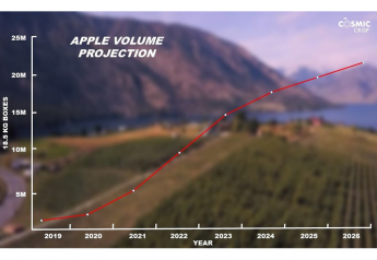 Cosmic Crisp apple outlook for future growth