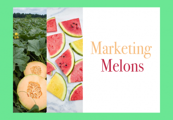 Traditional, value-added, alternative melons all expected to sell