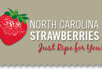 North Carolina strawberry season underway