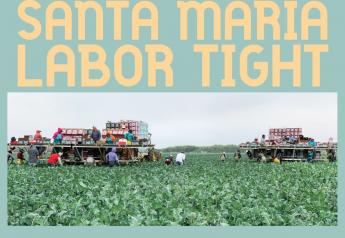 Santa Maria labor tight but expected sufficient