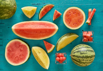 Watermelon promotions focus on useful basics, in-store and digitally