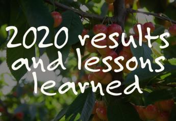 Cherries: 2020 results and lessons learned