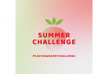 California Strawberry Commission launches summer campaign to connect farmers and consumers