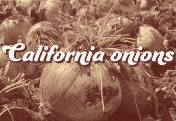 California onion suppliers, tell us about your crop