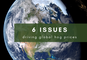 6 Issues Driving Global Hog Prices