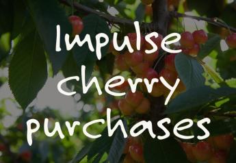 Cherries: Impulse purchases