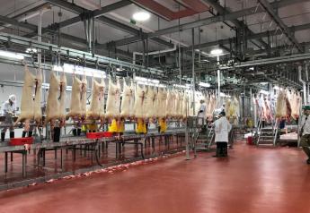 Pork Industry Loses Appeal on Line Speeds