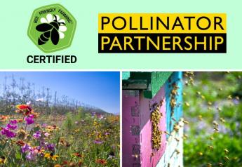 Stemilt Earns Certification in Bee Friendly Farming
