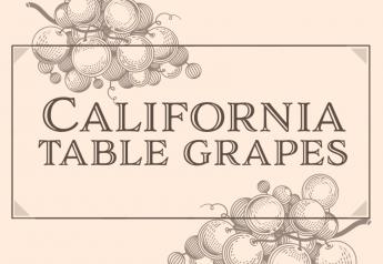 California table grape acreage steady