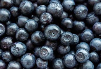 U.S. Highbush Blueberry Council plans Blueberry Summit
