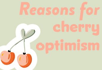 Suppliers share optimism about Northwest cherries