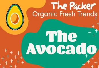 2021 organic avocado Fresh Trends