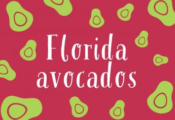 Florida avocado shipments take a step back in 2021