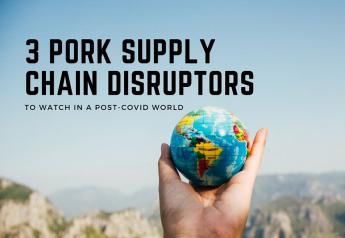3 Pork Supply Chain Disruptors to Watch in a Post-COVID World