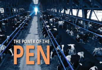 Focus on the Pen, Not Individual Cows, to Deliver Profits