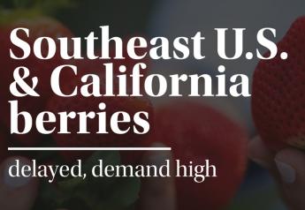 Southeast U.S., California berries — Blueberries