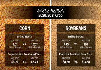 USDA's May Report Further Feeds the Bulls as Soybean Supplies Remain Scary Tight
