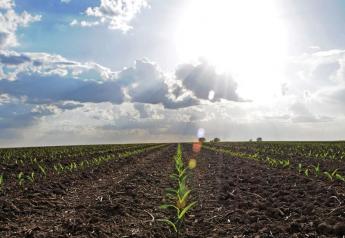 USDA Anticipates 92 Million Acres of Corn, 88 Million Acres of Soybeans
