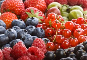 Per capita availability of blueberries, raspberries surging